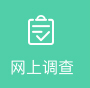 网上调查